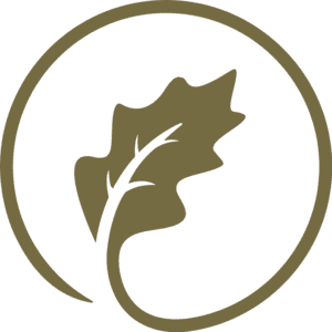 Strømmen Sparebank logo